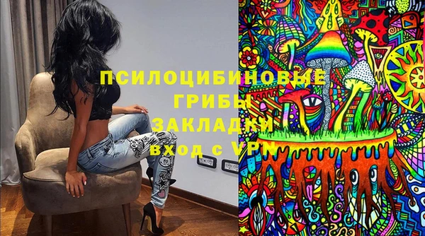 меф Арсеньев