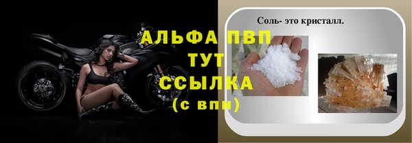 прущие крисы Аркадак