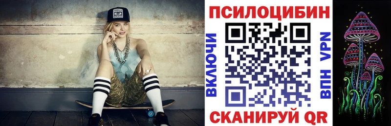 Псилоцибиновые грибы Psilocybe  Купить  Лыткарино 